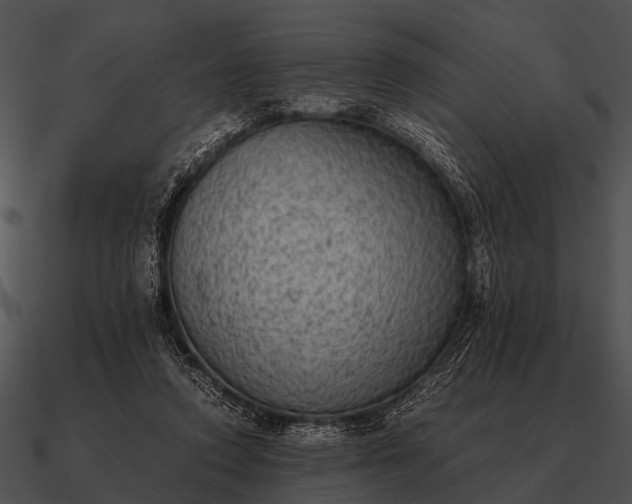 X0000090700354200708031418