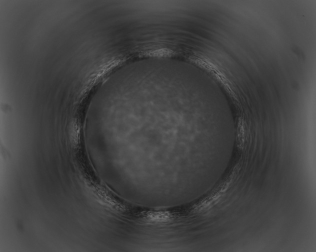 X0000090700355200708031418