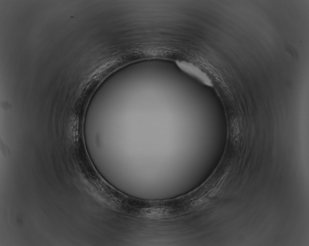 X0000090700356200708031418