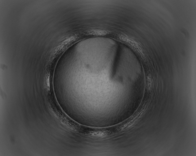 X0000090700358200708031418