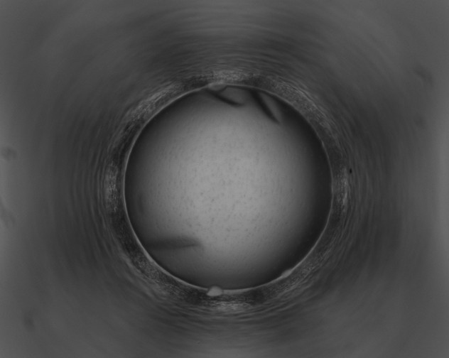 X0000090700360200708031418