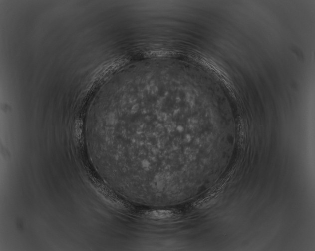 X0000090700361200708031418