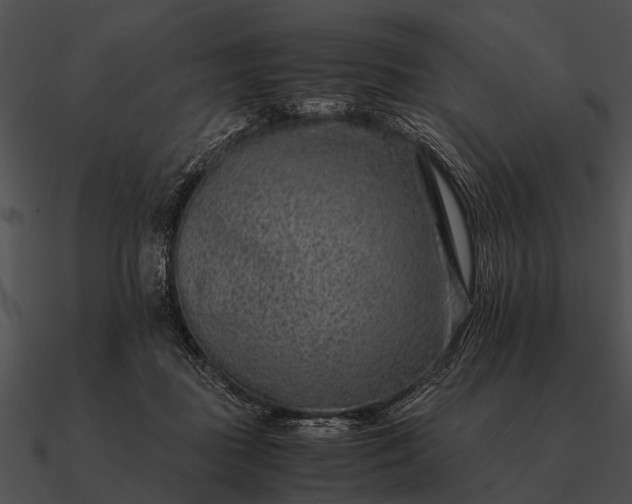 X0000090700363200708031418