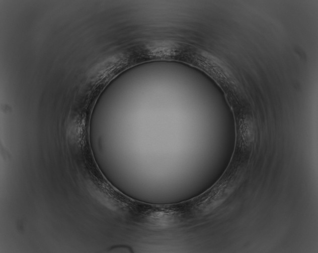 X0000090700364200708031418