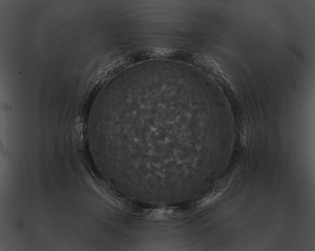 X0000090700366200708031418