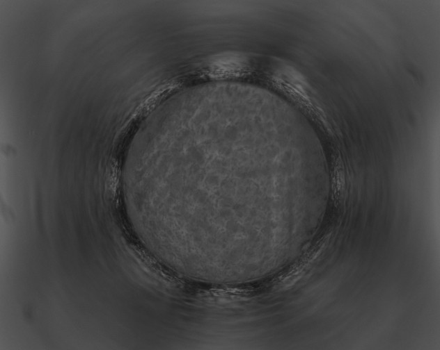 X0000090700367200708031418