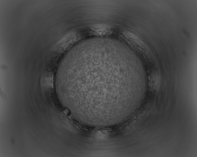 X0000090700368200708031418