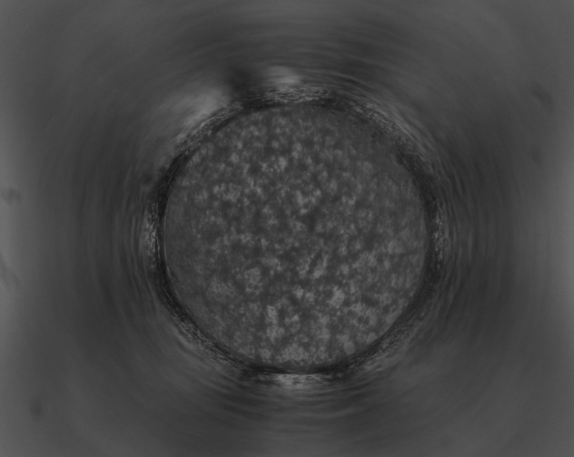 X0000090700371200708031418