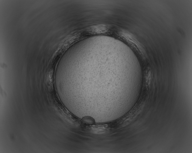 X0000090700373200708031418