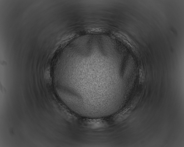 X0000090700377200708031418