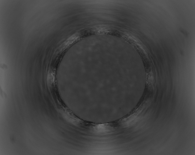 X0000090700382200708031418