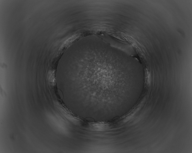 X0000090700383200708031418