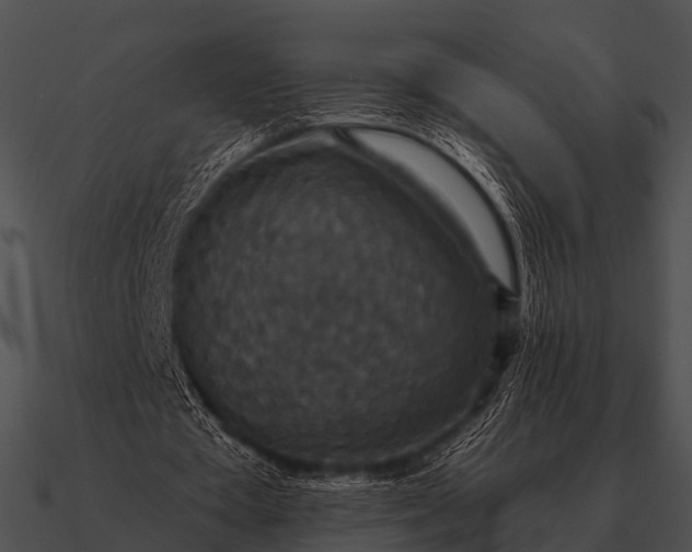 X0000090700385200708031418