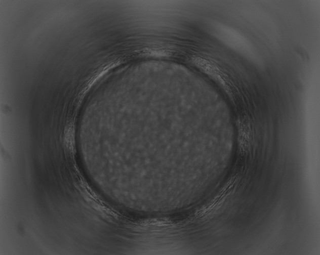 X0000090700386200708031418