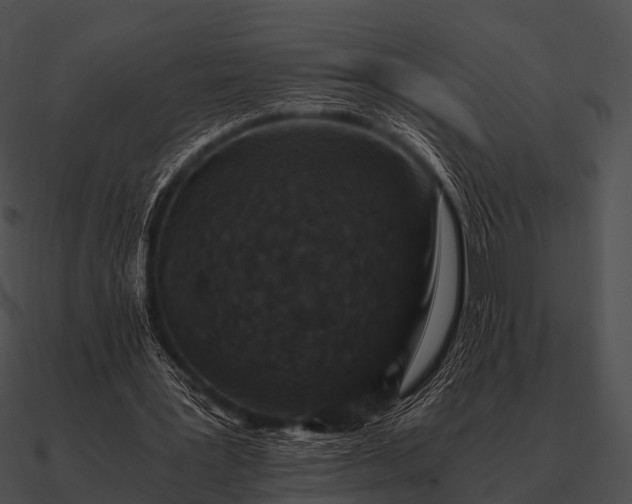 X0000090700387200708031418