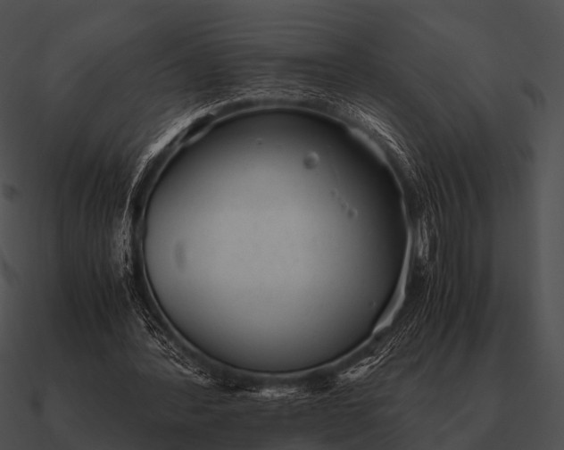 X0000090700388200708031418