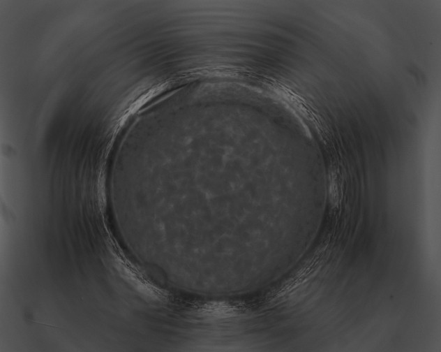 X0000090700390200708031418