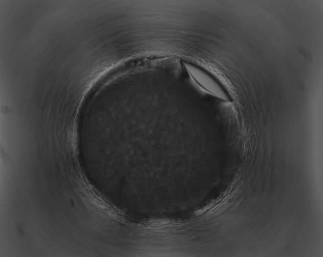 X0000090700391200708031418