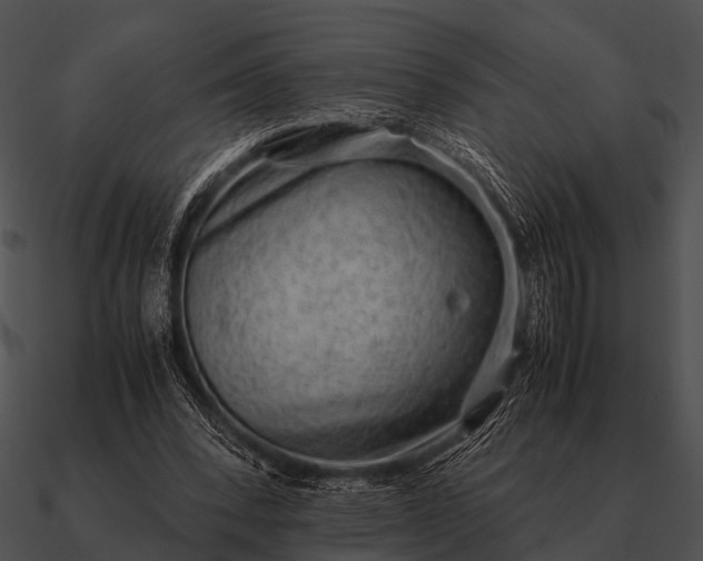 X0000090700392200708031418