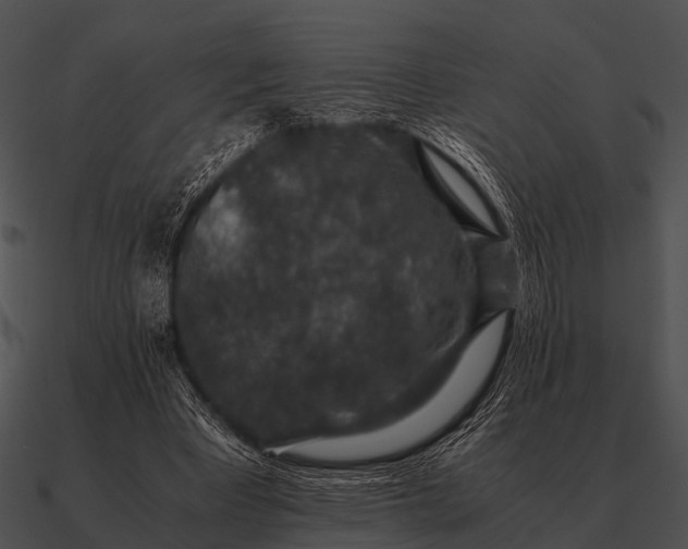 X0000090700393200708031418