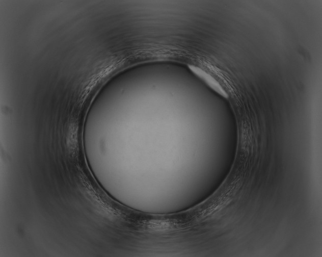 X0000090700394200708031417