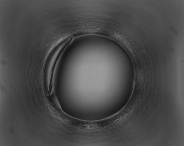 X0000090700395200708031417