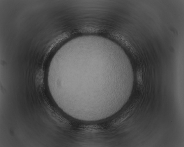 X0000090700396200708031417