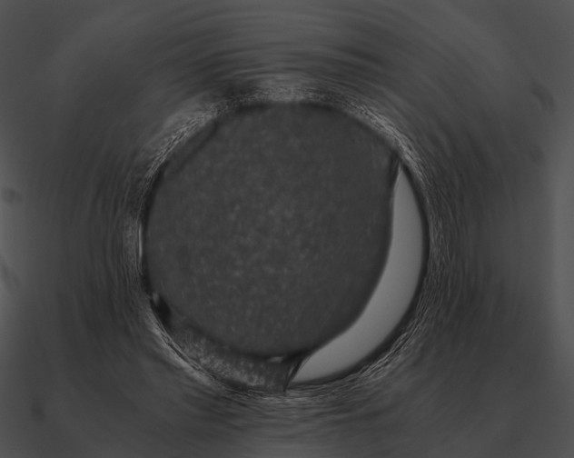 X0000090700397200708031417