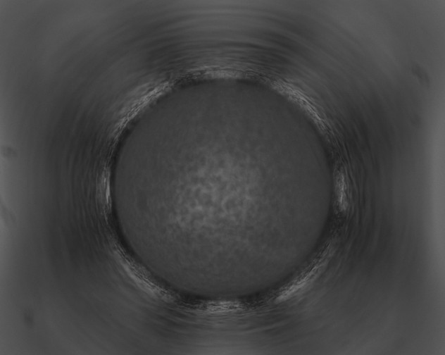 X0000090700398200708031417