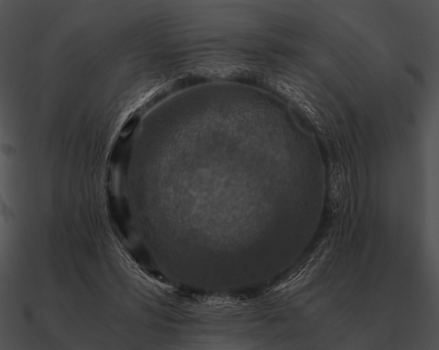 X0000090700399200708031417