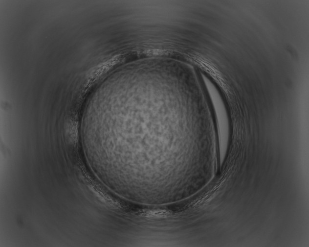 X0000090700401200708031417