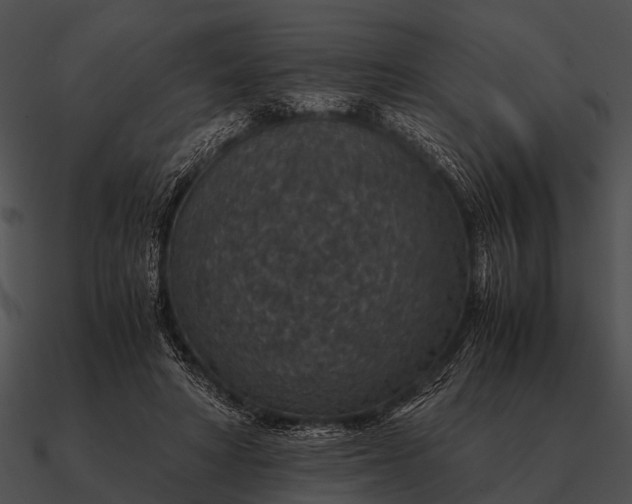 X0000090700402200708031417