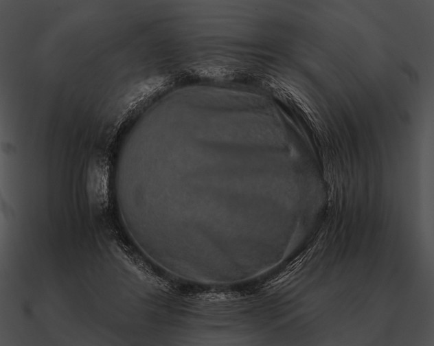 X0000090700404200708031417