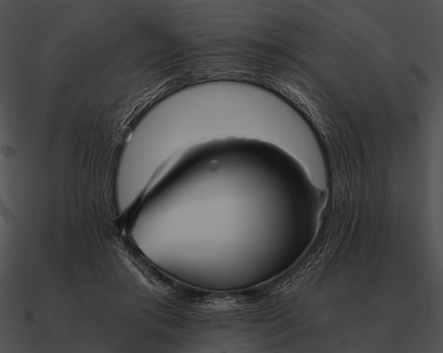 X0000090700405200708031417