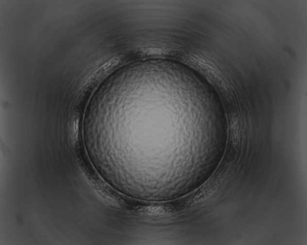 X0000090700406200708031417