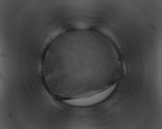 X0000090700407200708031417