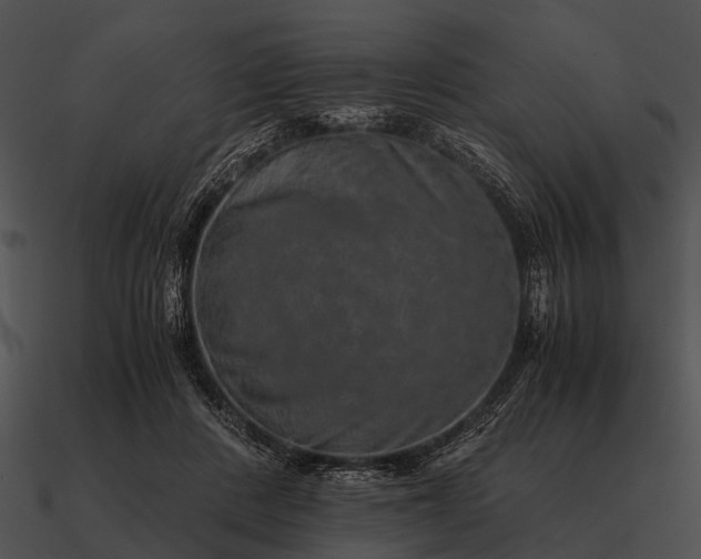 X0000090700408200708031417