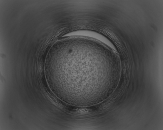 X0000090700409200708031417