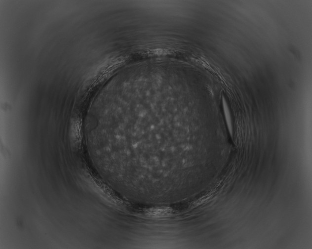 X0000090700410200708031417