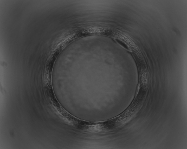 X0000090700411200708031417