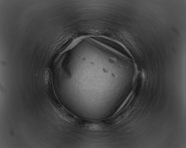 X0000090700412200708031417