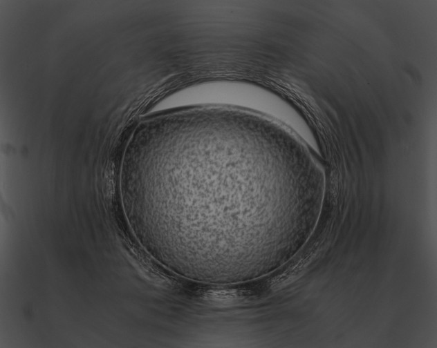 X0000090700413200708031417