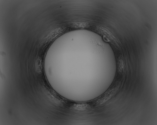 X0000090700414200708031417