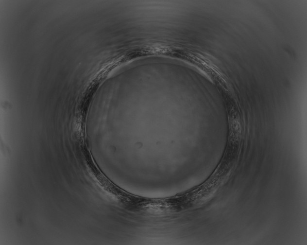 X0000090700415200708031417