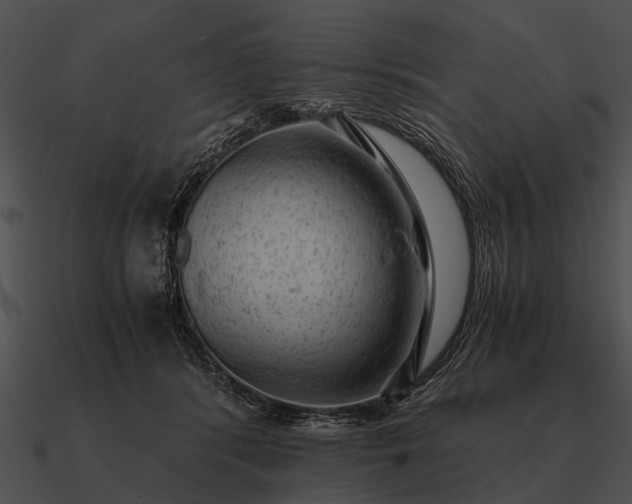 X0000090700416200708031417