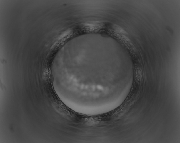 X0000090700419200708031417