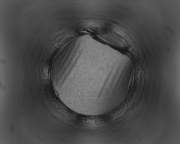 X0000090700420200708031417