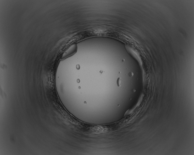 X0000090700421200708031417