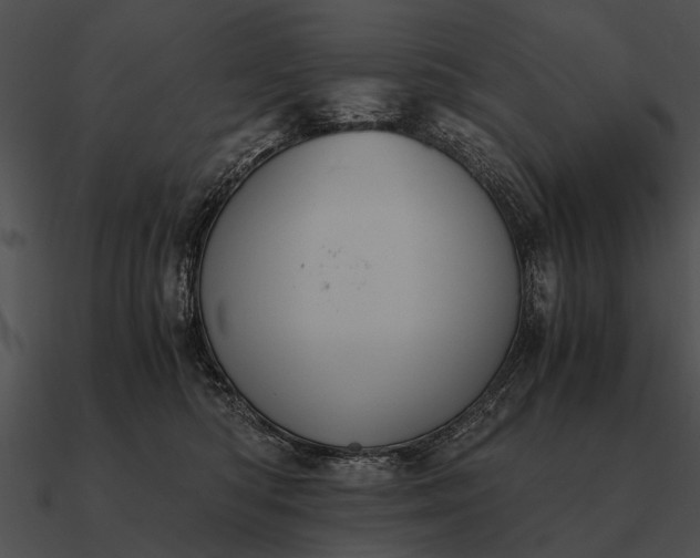 X0000090700422200708031417