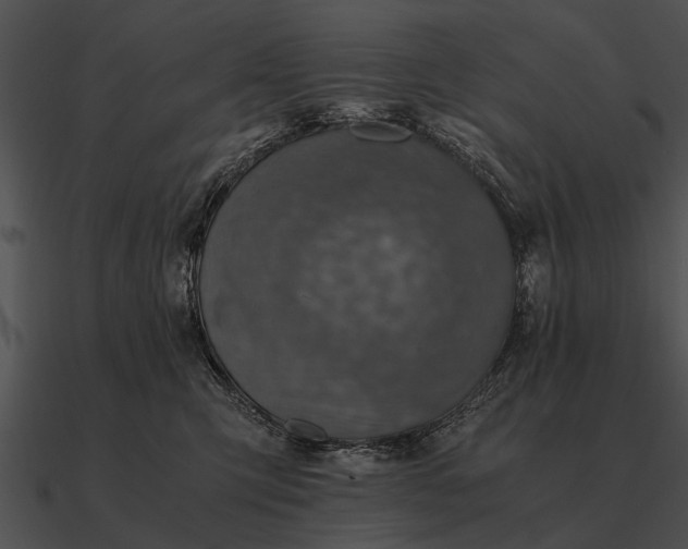 X0000090700423200708031417